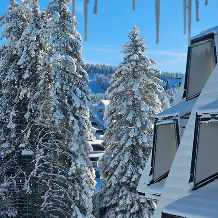 Silver Pine * كوباونيك