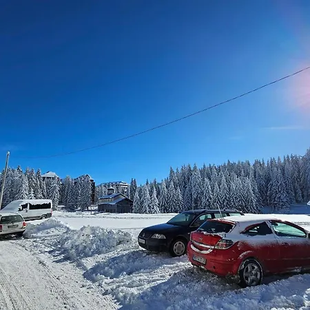 Silver Pine * Kopaonik