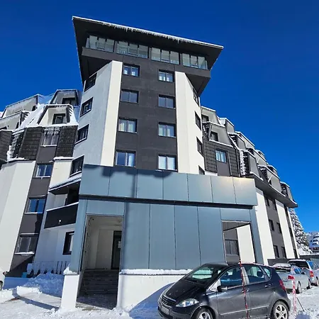 Silver Pine كوباونيك