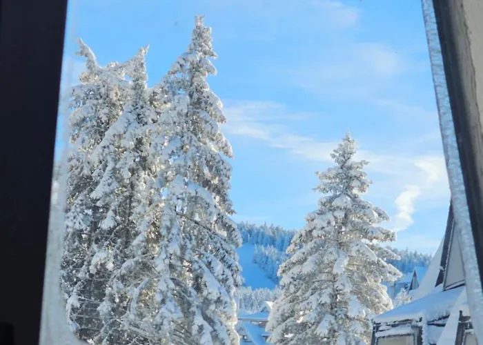 Silver Pine Apartment *